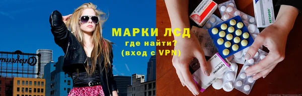 ALPHA PVP Беломорск