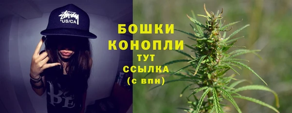 ALPHA PVP Беломорск